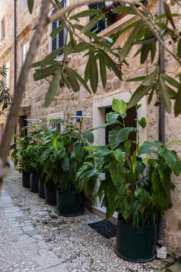 B&B Buza House Dubrovnik Luaran gambar